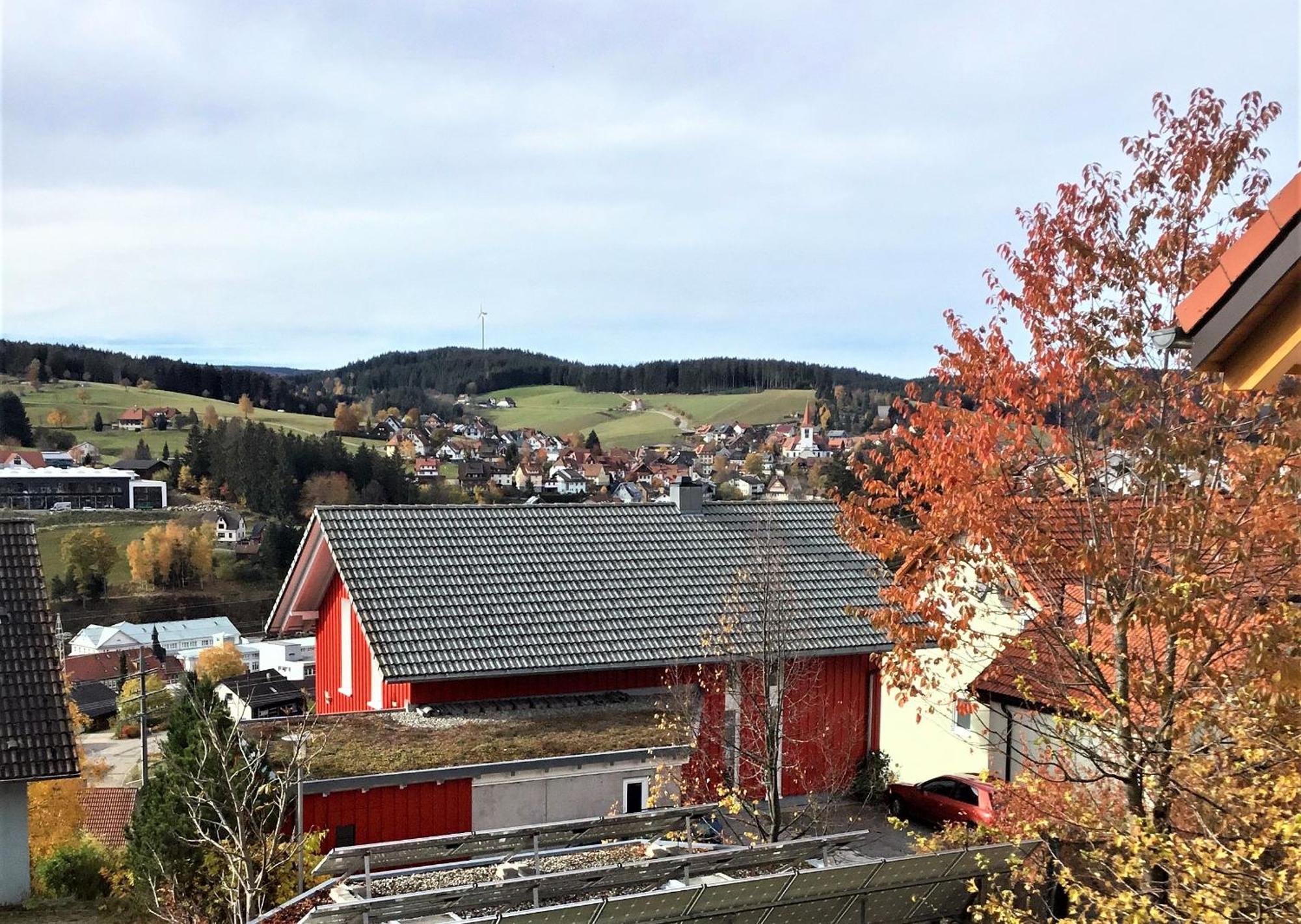 Alexander Feiss Apartamento Schonach im Schwarzwald Exterior foto
