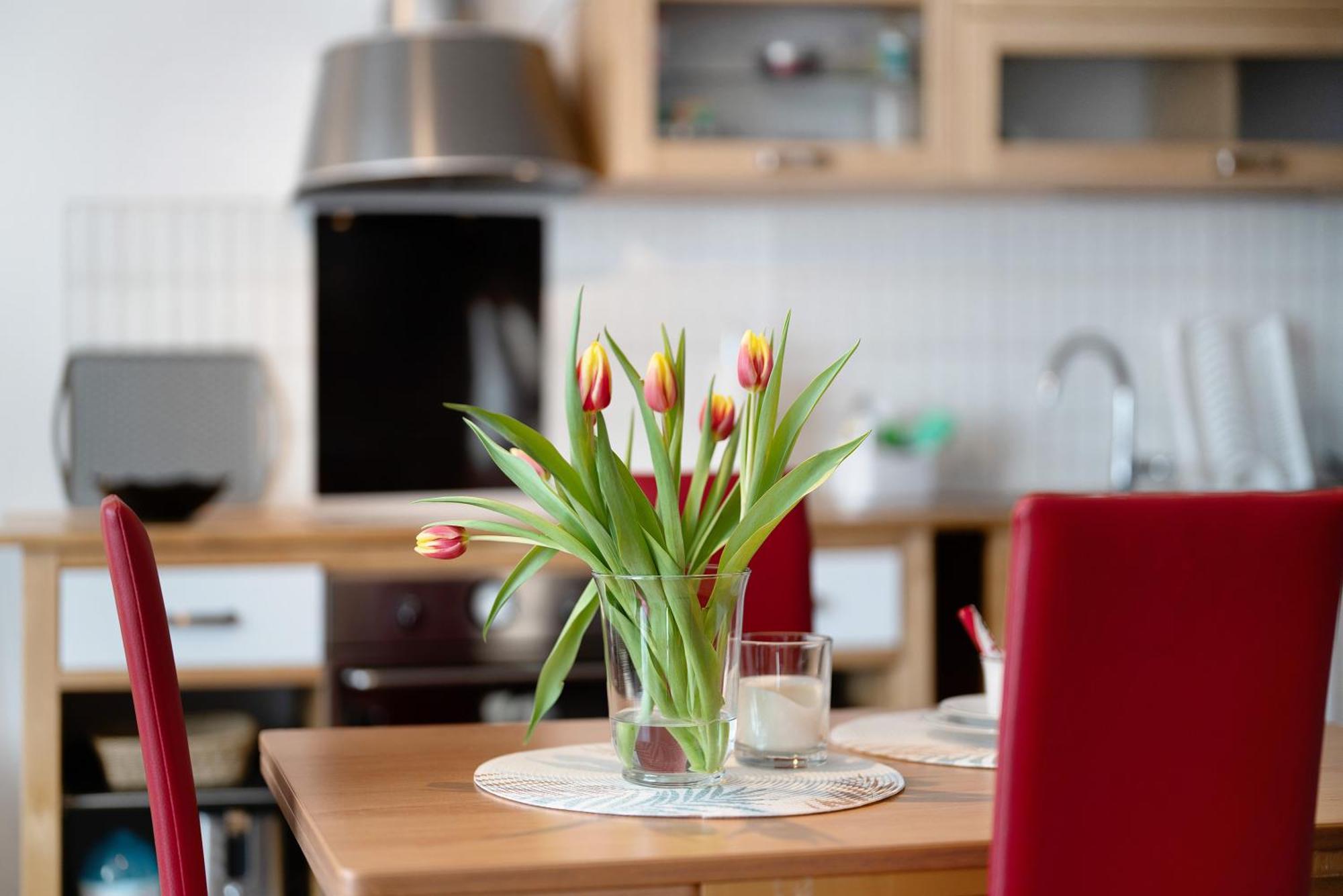 Alexander Feiss Apartamento Schonach im Schwarzwald Exterior foto
