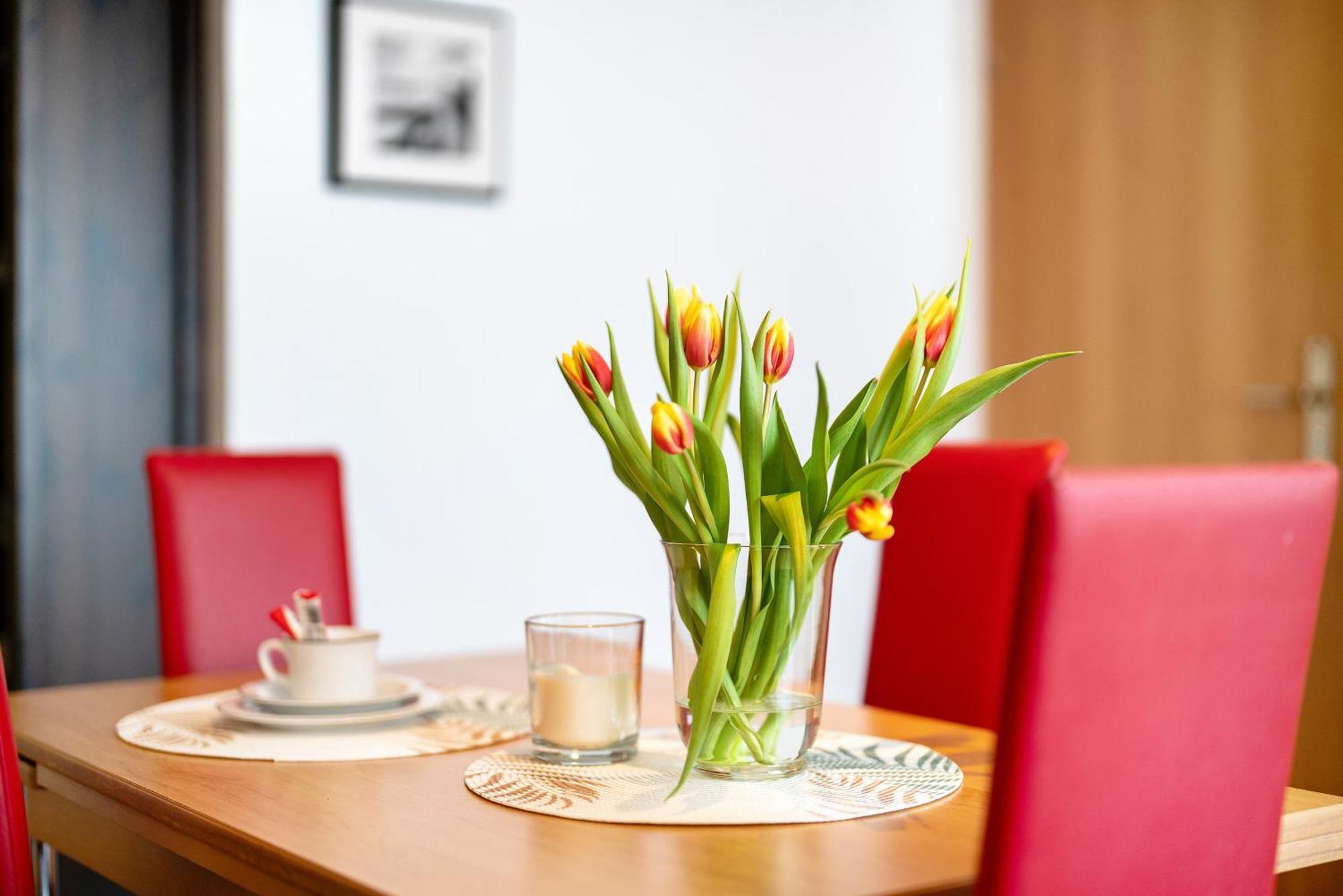 Alexander Feiss Apartamento Schonach im Schwarzwald Exterior foto